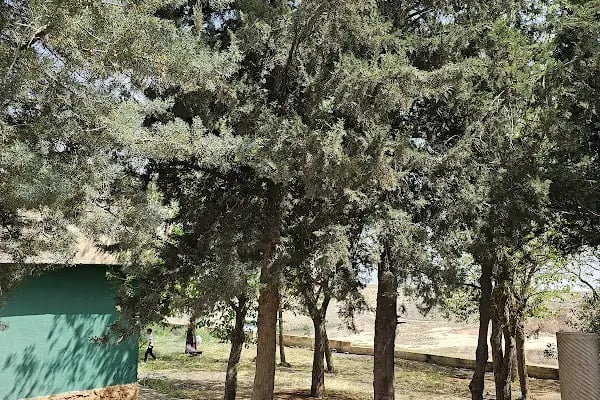 Aslanbaba Türbesi - Resim 12