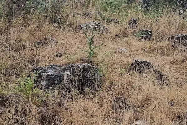 Aslanbaba Türbesi - Resim 3