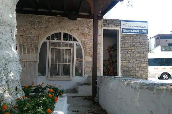 Türkkuyusu Cami - Resim 5