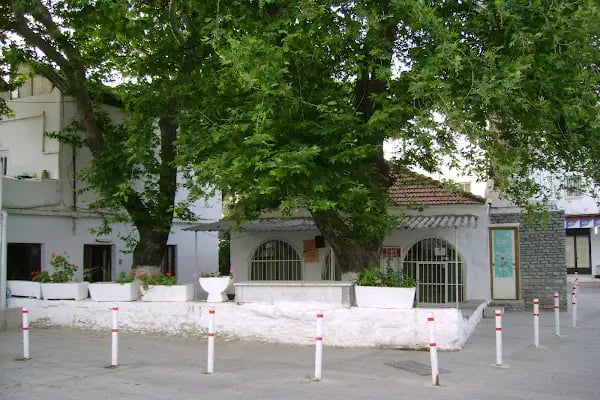 Türkkuyusu Cami - Resim 7