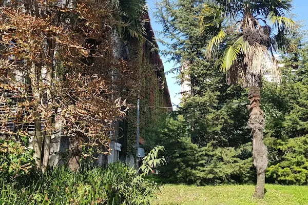 Yıldız Teknik Üniversitesi - Resim 16