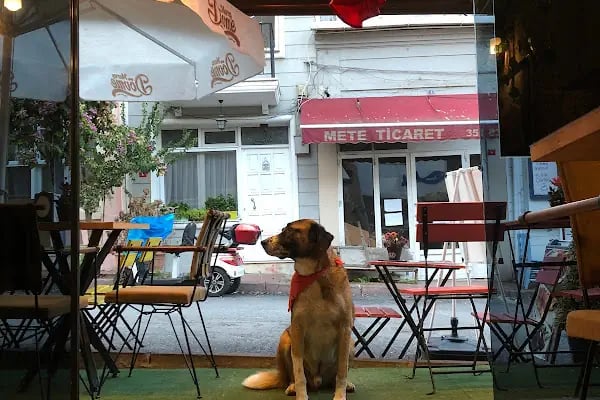 Masaldondurma Cafe Restoran - Resim 11