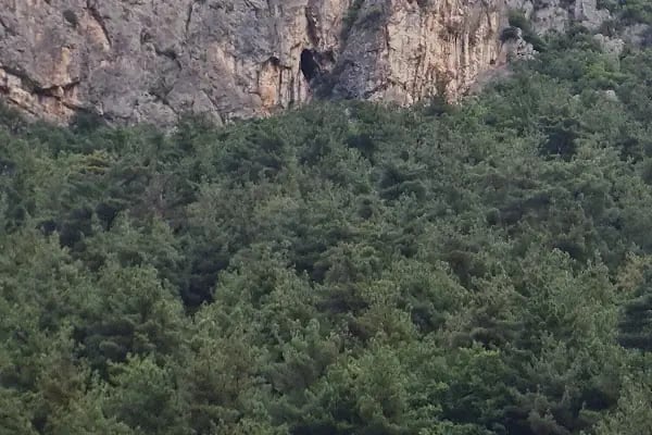 Şelale Yeşil Vadi Et Mangal - Resim 7