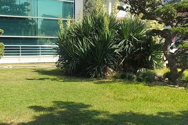 Ağaoğlu My Office - Resim 8