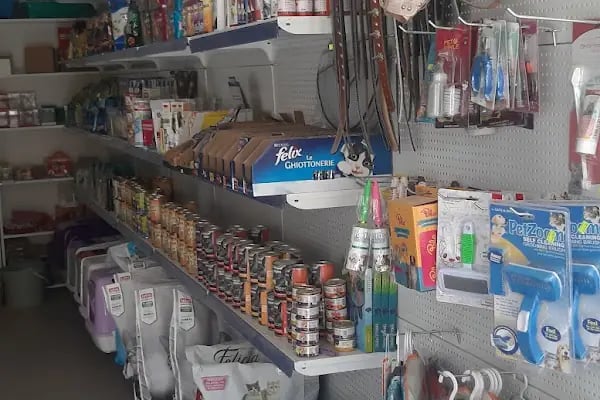 Deva Petshop akvaryum - Resim 3