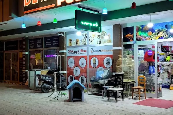 Deva Petshop akvaryum - Resim 2