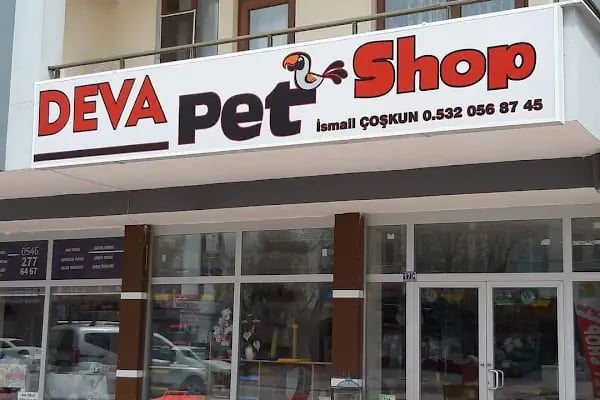 Deva Petshop akvaryum - Resim 11
