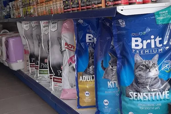 Deva Petshop akvaryum - Resim 19