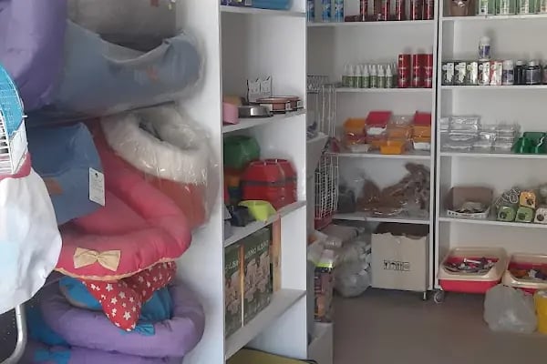 Deva Petshop akvaryum - Resim 15