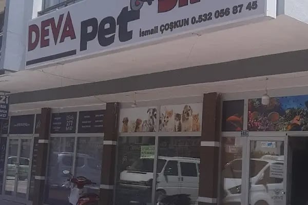 Deva Petshop akvaryum - Resim 8