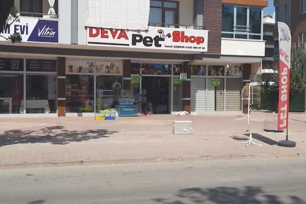 Deva Petshop akvaryum - Resim 1