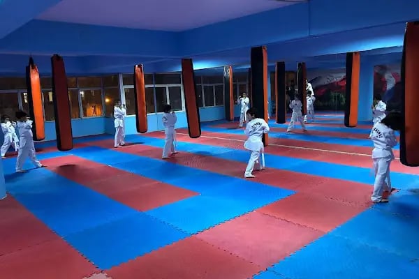 Bursa Ayyıldız Gençlik ve Spor Kulübü - Resim 2