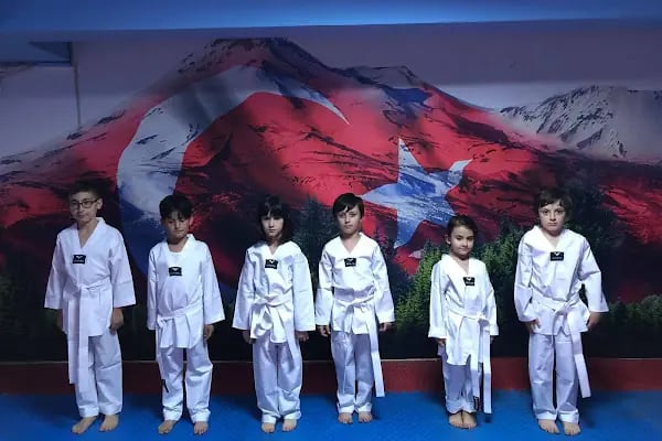 Bursa Ayyıldız Gençlik ve Spor Kulübü - Resim 7