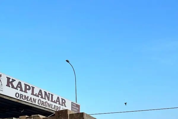 Kaplanlar Orman Ürünleri - Resim 2