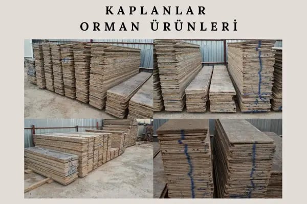 Kaplanlar Orman Ürünleri - Resim 9
