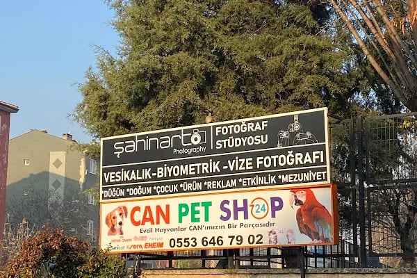Şahin Art Fotoğraf Stüdyosu - Resim 9