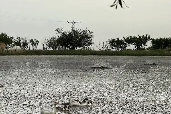 Sülüklü Göl Spil Dağı Milli Parkı - Resim 11