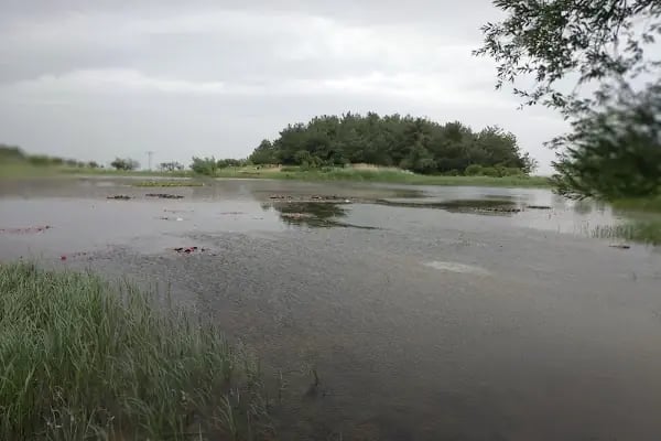 Sülüklü Göl Spil Dağı Milli Parkı - Resim 13