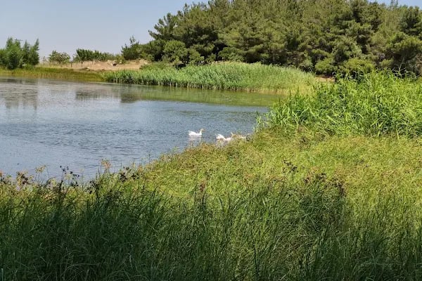Sülüklü Göl Spil Dağı Milli Parkı - Resim 12