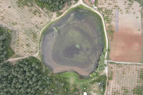Sülüklü Göl Spil Dağı Milli Parkı - Resim 6