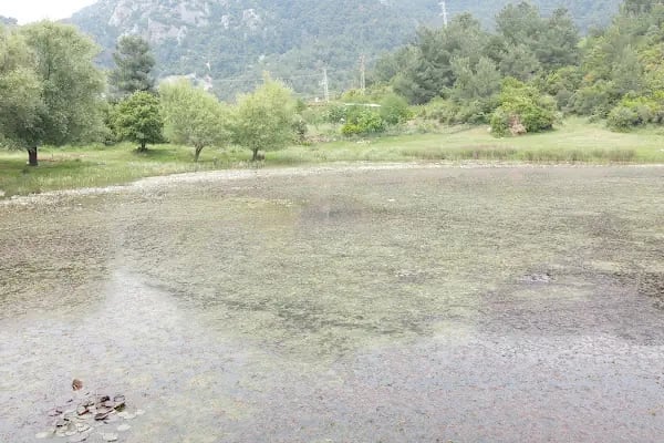 Sülüklü Göl Spil Dağı Milli Parkı - Resim 5