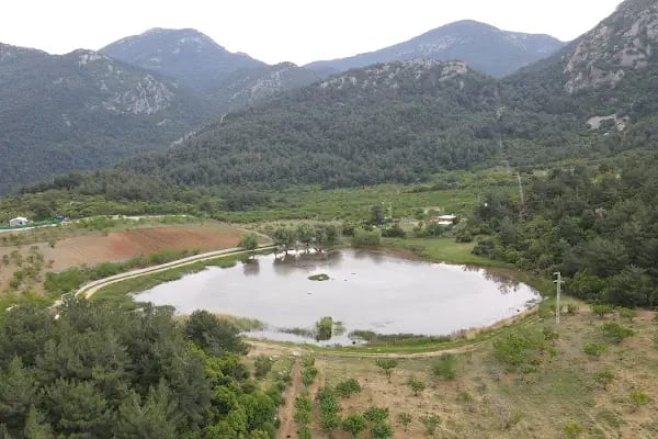 Sülüklü Göl Spil Dağı Milli Parkı - Resim 7