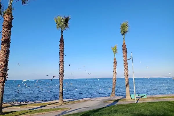 Yalova Günbatımı Plajı - Resim 5