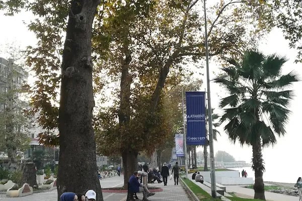 Yalova Günbatımı Plajı - Resim 18