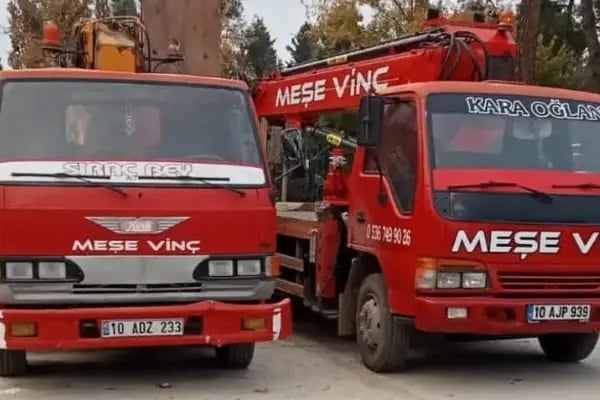 Balıkesir Meşe Kiralık Vinç ve Forklift - Resim 3