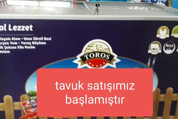 Pınar Market şube 9 - Resim 5