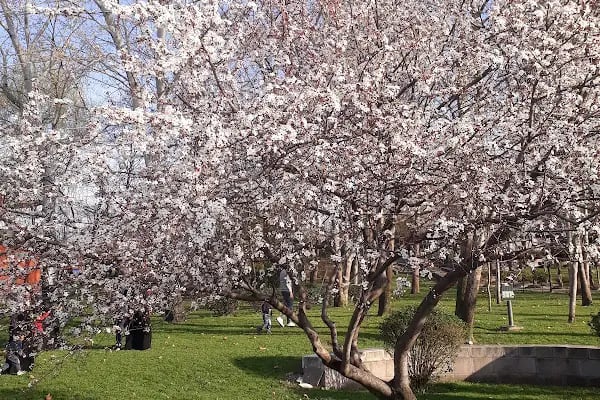 Kardelen Simit Cafe - Resim 4