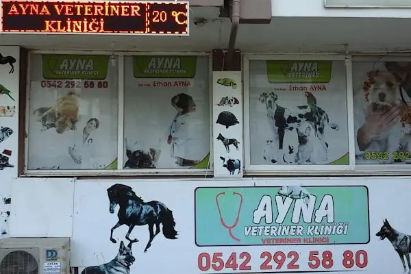 Ayna 2 Veteriner Kliniği - Resim 2