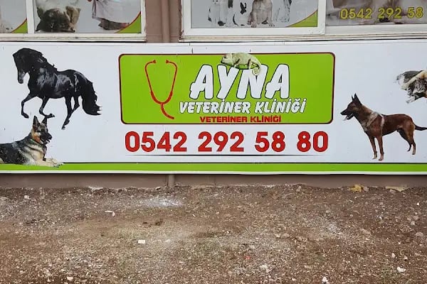 Ayna 2 Veteriner Kliniği - Resim 4