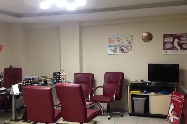 Ayna 2 Veteriner Kliniği - Resim 3