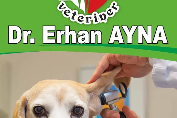 Ayna 2 Veteriner Kliniği - Resim 8