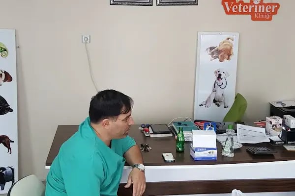 Ayna 2 Veteriner Kliniği - Resim 7