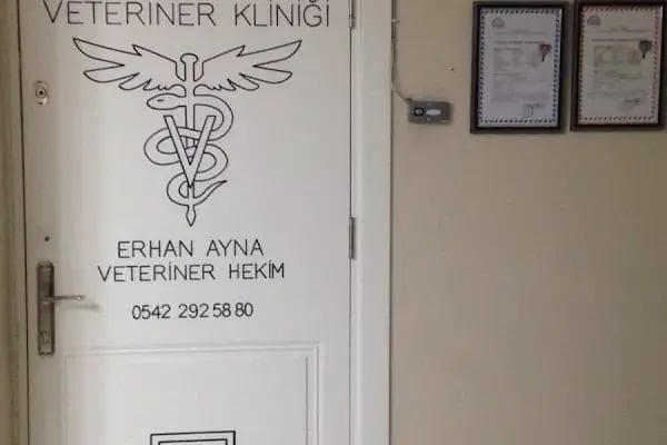 Ayna 2 Veteriner Kliniği - Resim 9