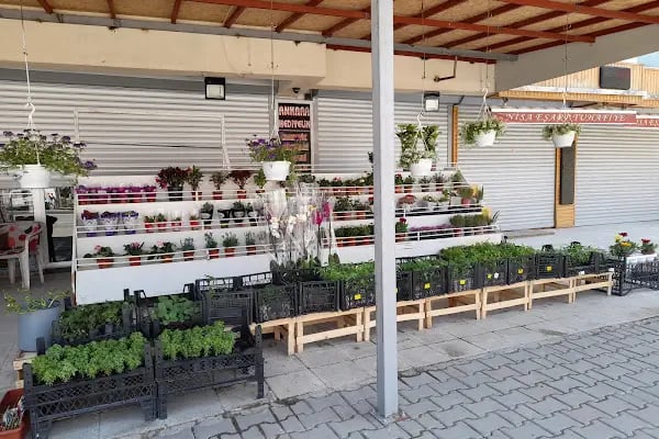 ANKARA HEDİYELİK - Resim 7