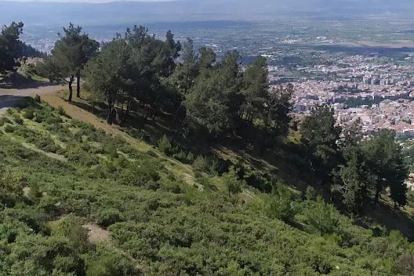 Alyans Davet Düğün Salonu - Resim 7