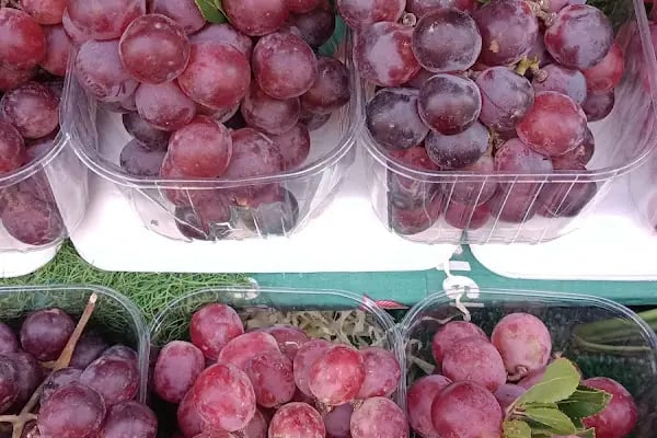 Ortaköy Sebze Meyve Dünyası - Resim 14