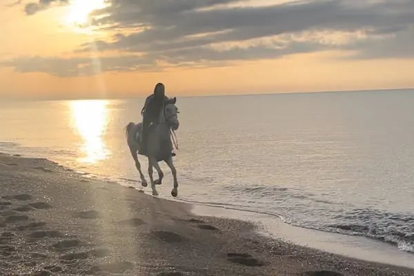 Antalya At Çiftliği - Resim 20