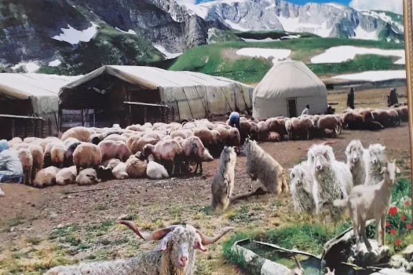 Gümüş Pala Merkez Cami - Resim 8