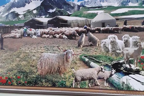 Gümüş Pala Merkez Cami - Resim 6