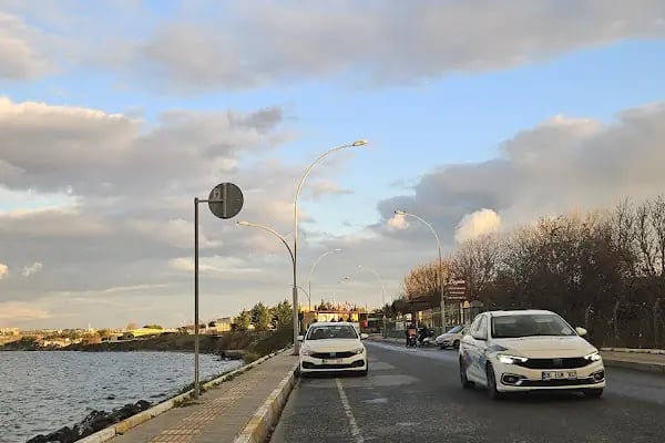Gümüş Pala Merkez Cami - Resim 14