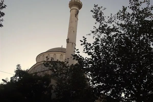 Gümüş Pala Merkez Cami - Resim 15