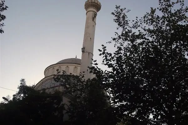 Gümüş Pala Merkez Cami - Resim 4