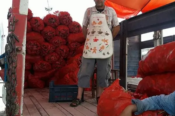 Ceyhan Sebze Hali - Resim 16