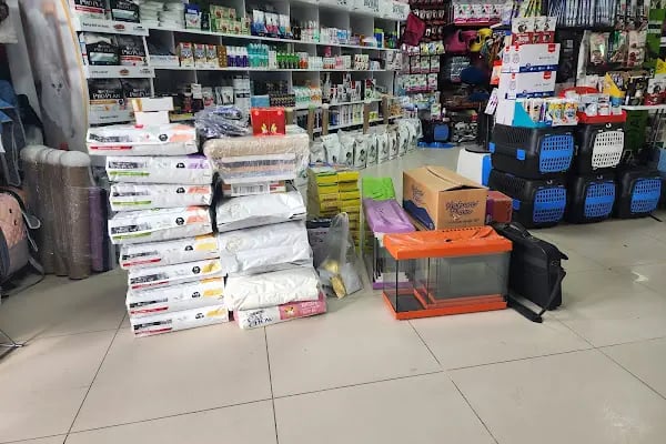 Petaryum Ilgaz Pet - Resim 7