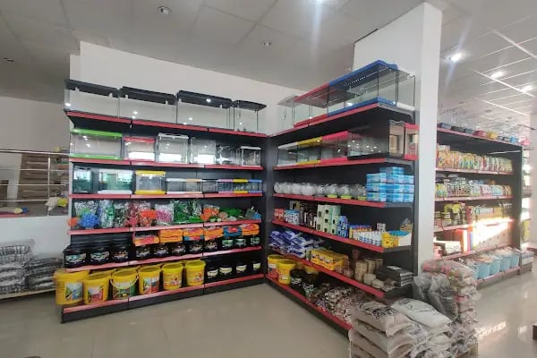 Petaryum Ilgaz Pet - Resim 2