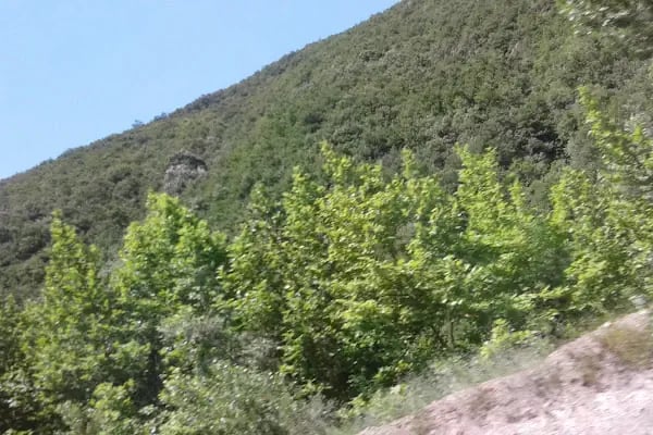 M E Z İ T T Ü N E L İ 6 0 6 M T - Resim 9